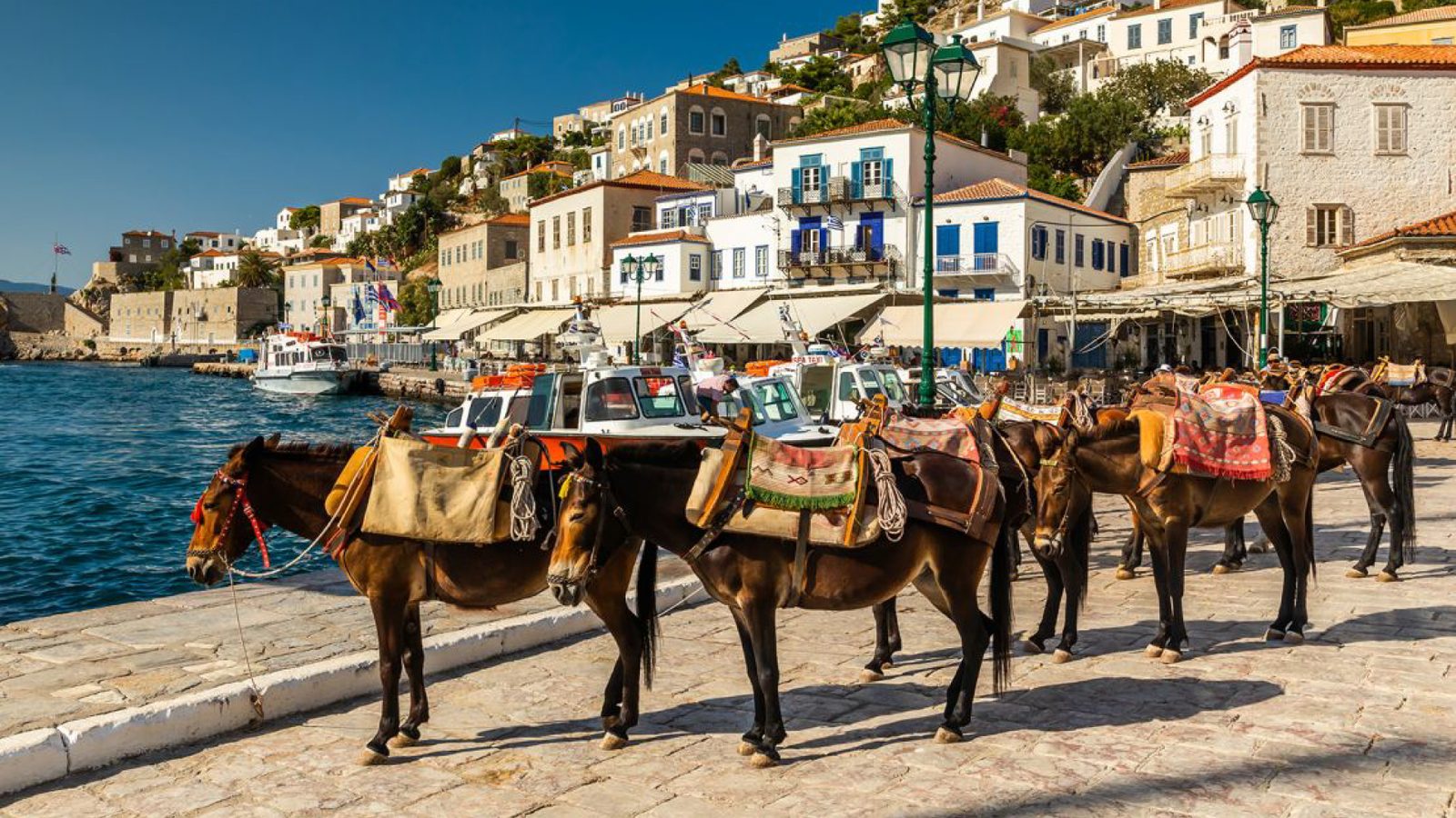 Mules and their handlers on the Hydra quay, the island&rsquo;s only transport